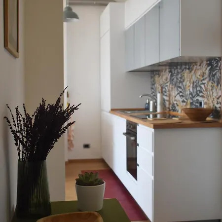 Ciceri Dei Paritgiani Apartment Verbania
