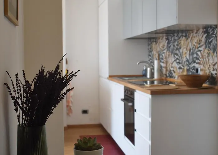 Ciceri Dei Paritgiani Apartamento Verbania